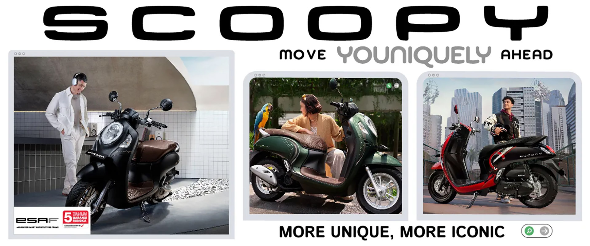 banner-scoopy banner-scoopy